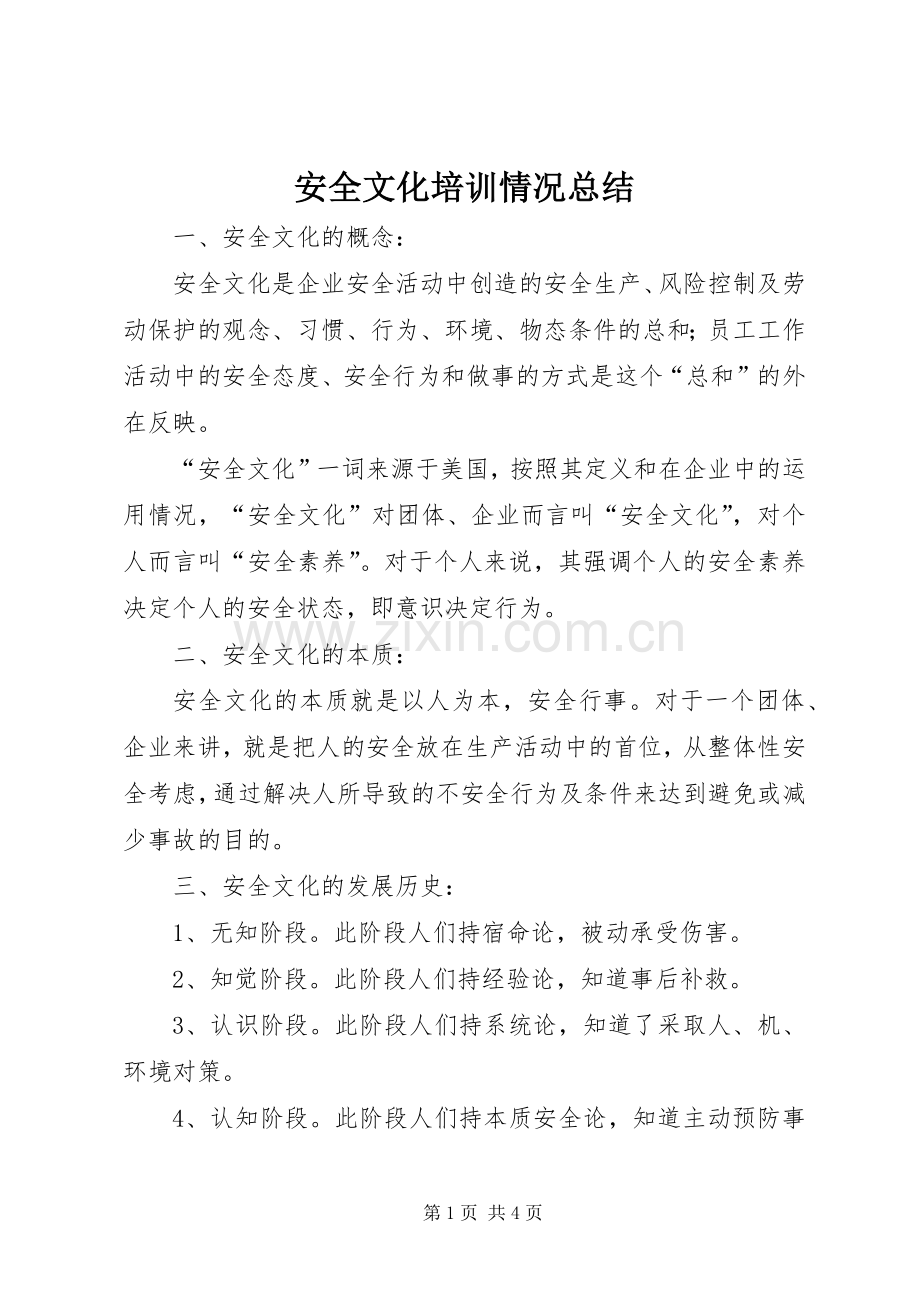 安全文化培训情况总结 .docx_第1页