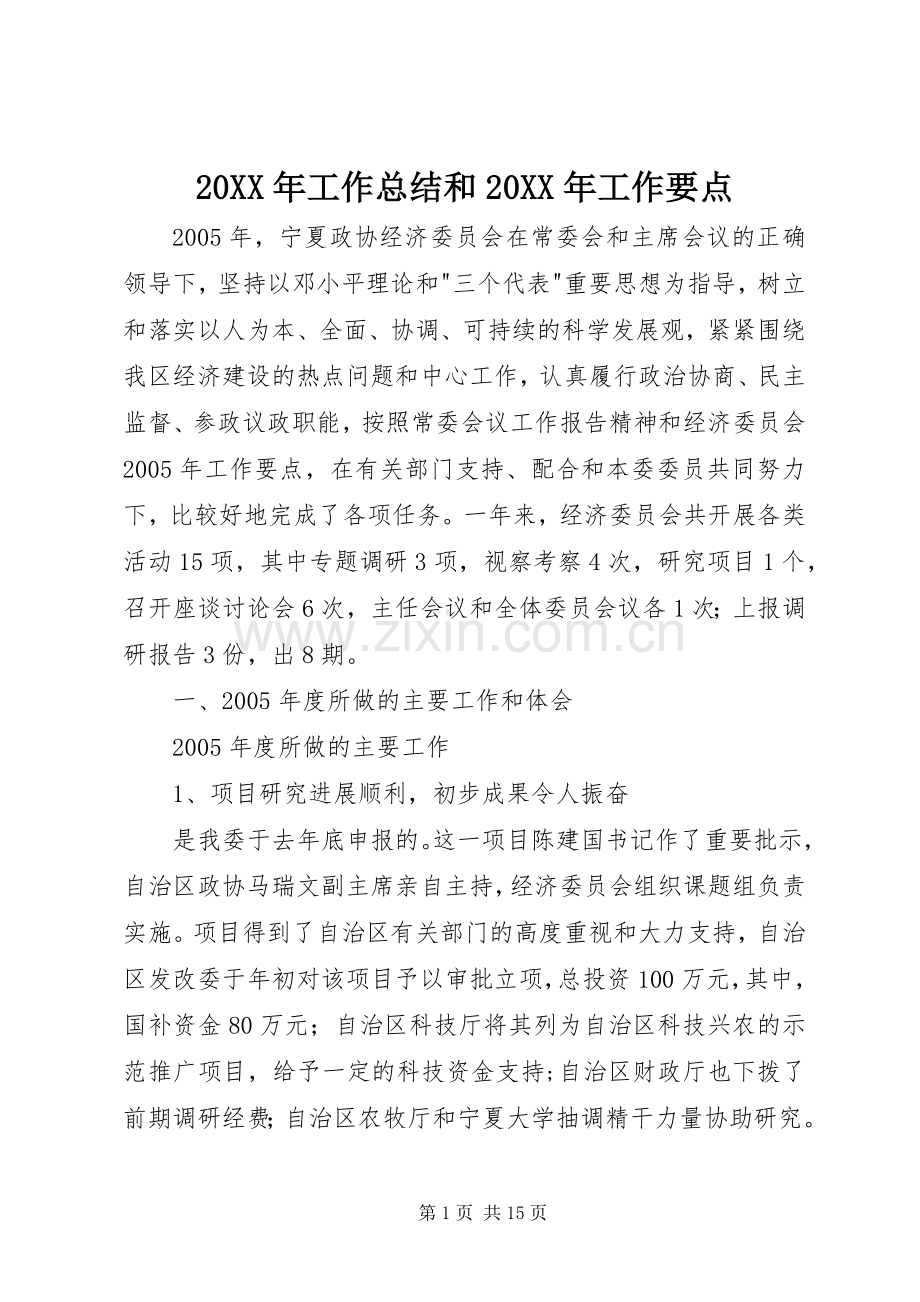 20XX年工作总结和20XX年工作要点.docx_第1页