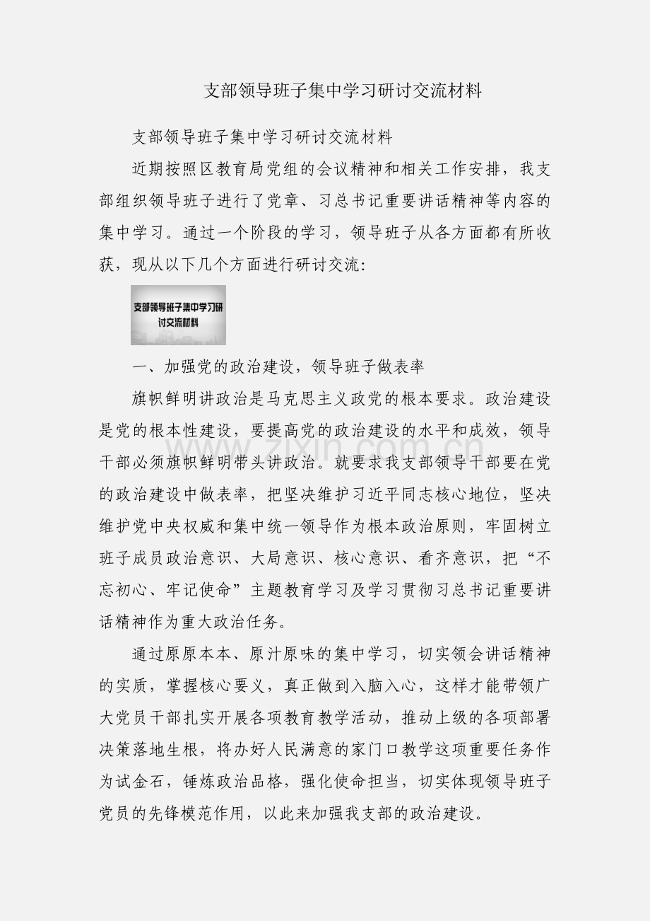 支部领导班子集中学习研讨交流材料.docx_第1页