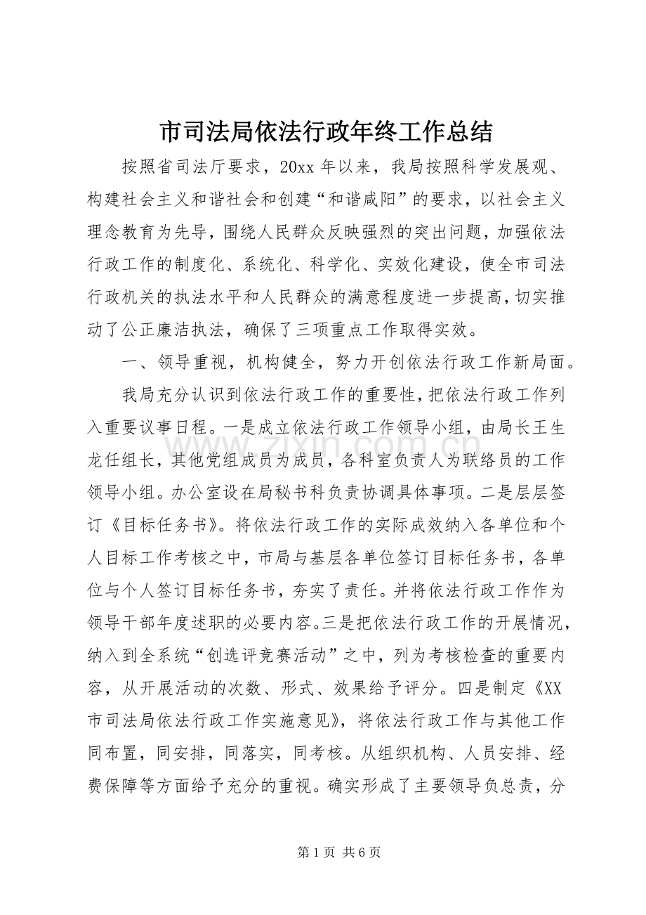 市司法局依法行政年终工作总结 .docx_第1页