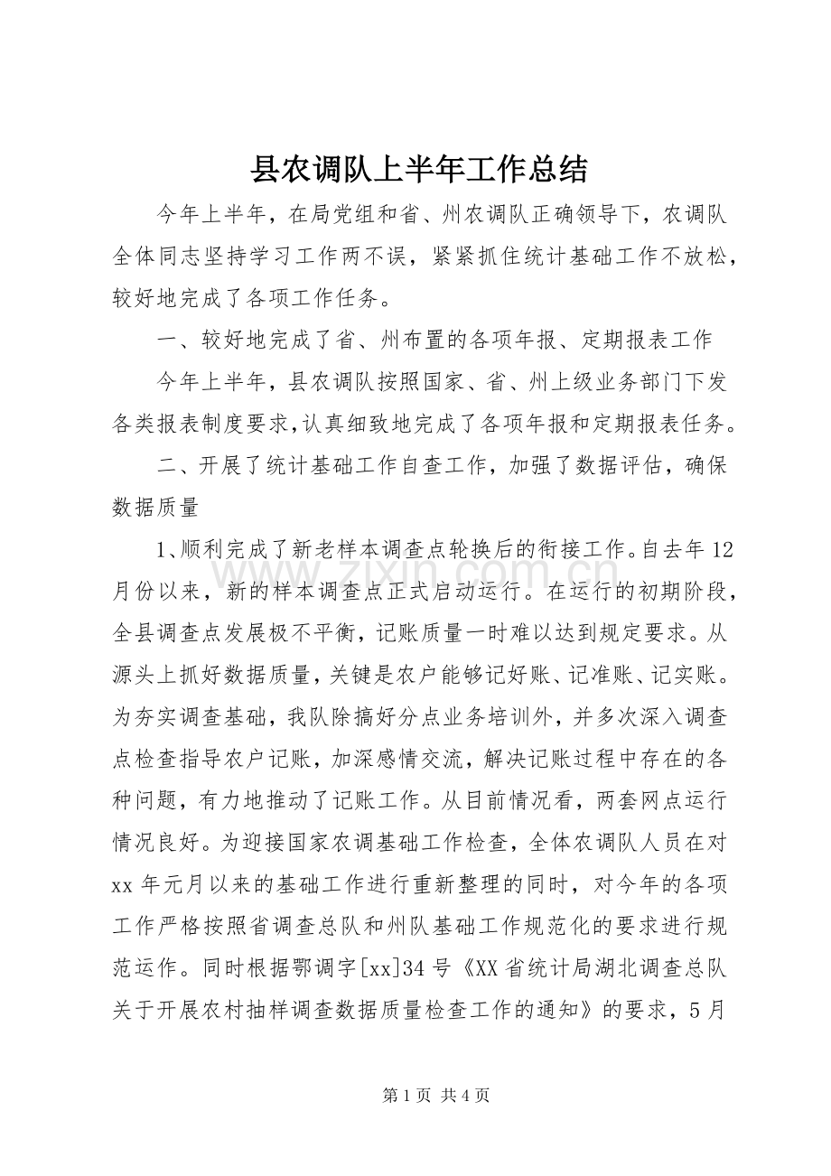 县农调队上半年工作总结 .docx_第1页