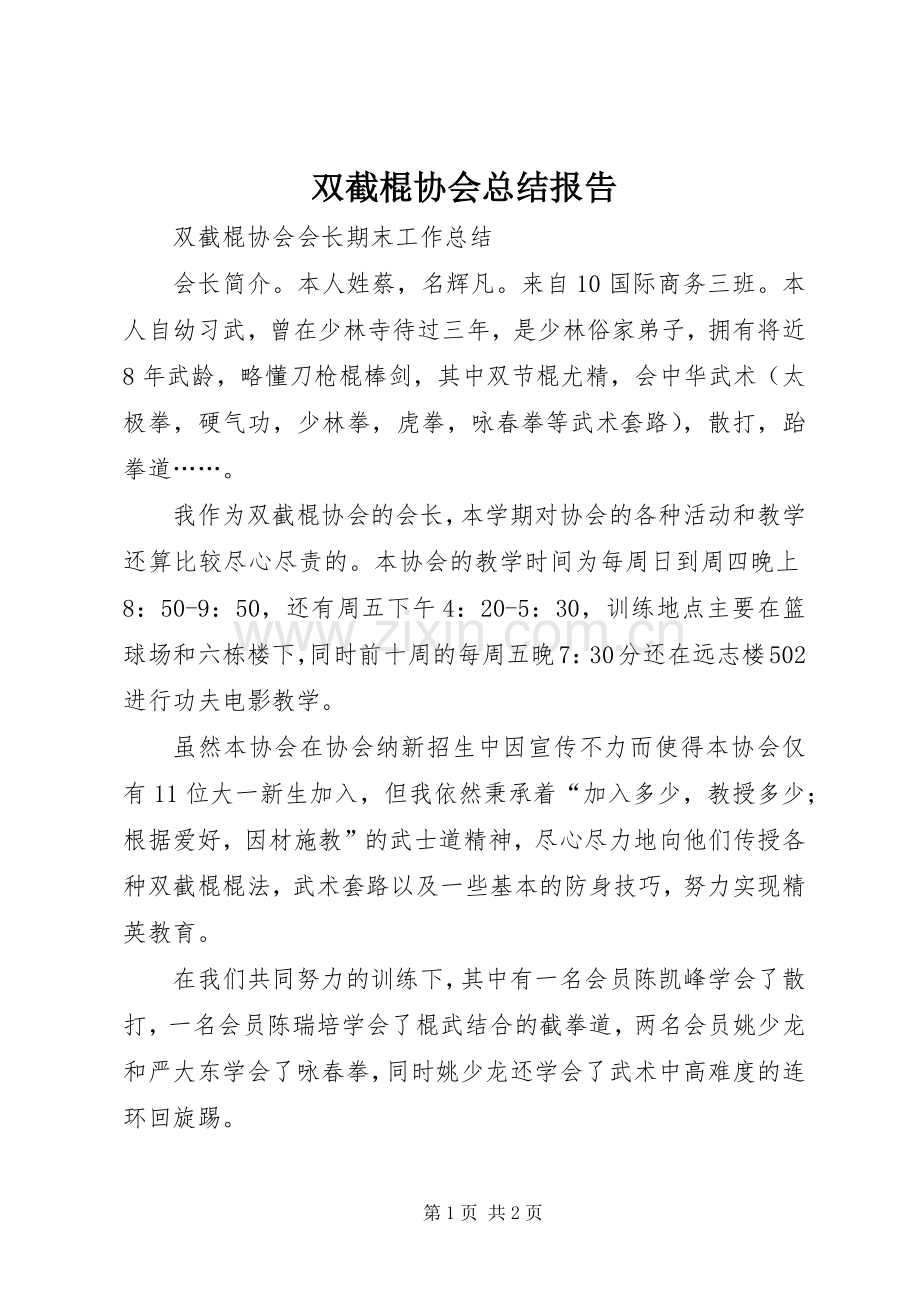双截棍协会总结报告 .docx_第1页