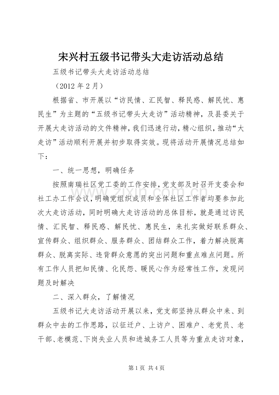 宋兴村五级书记带头大走访活动总结 .docx_第1页