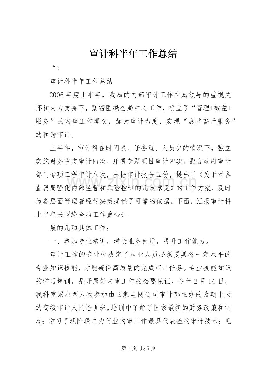 审计科半年工作总结 .docx_第1页