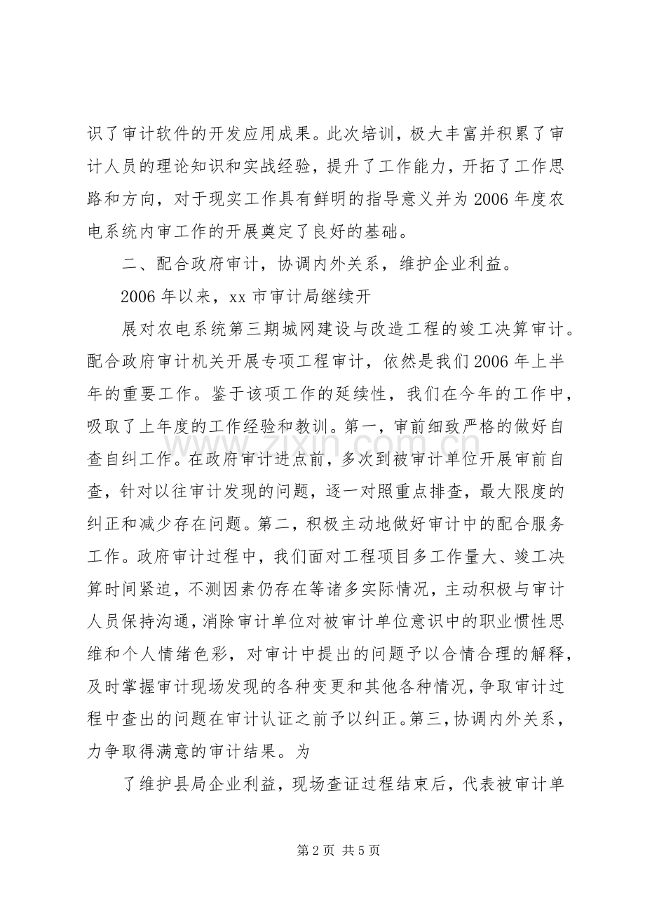 审计科半年工作总结 .docx_第2页