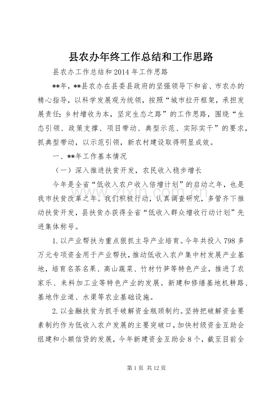 县农办年终工作总结和工作思路 .docx_第1页