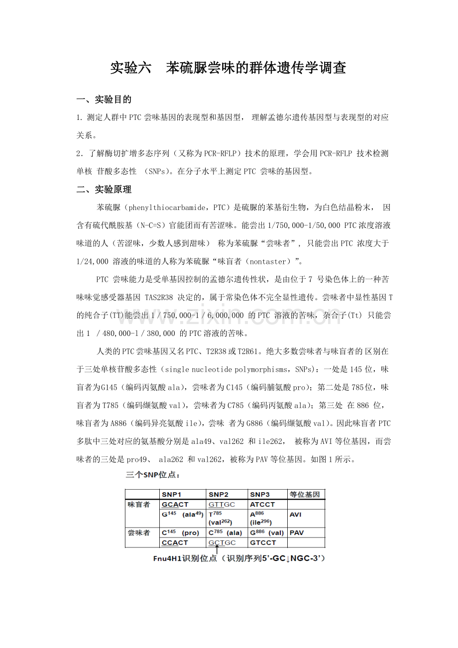 实验六苯硫脲尝味的群体遗传学调查.doc_第1页
