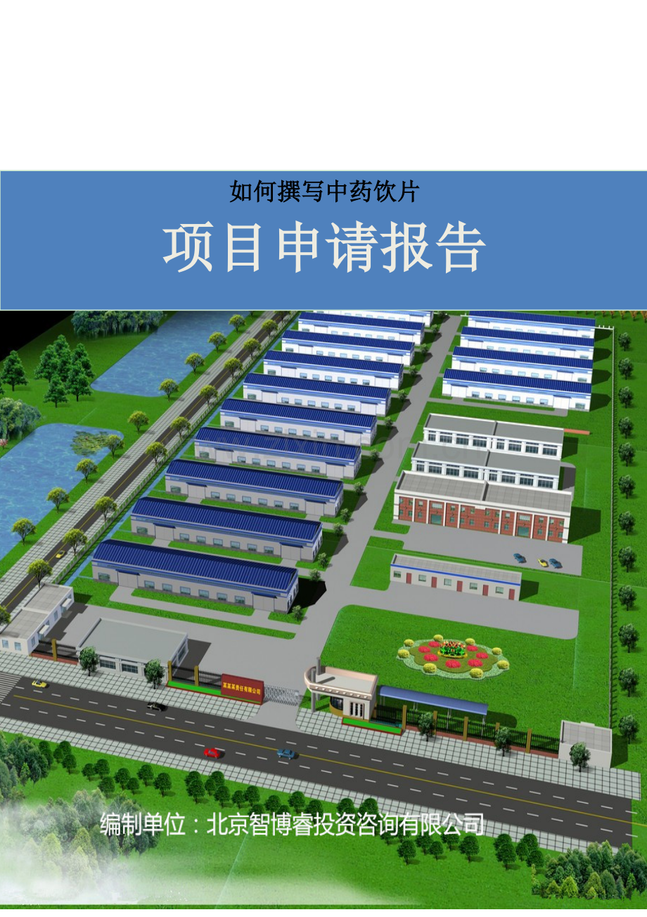 如何撰写中药饮片项目申请报告.docx_第1页