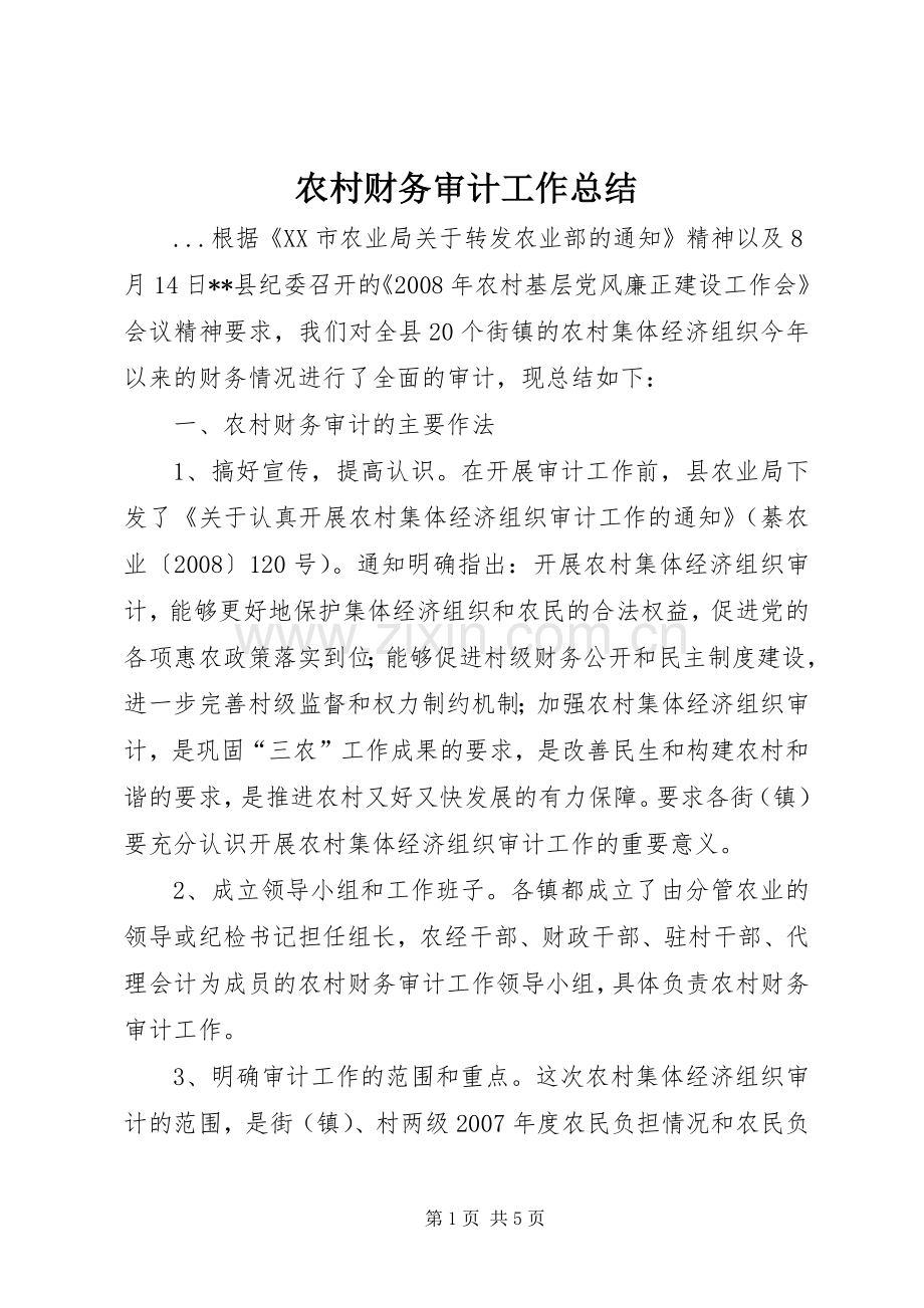 农村财务审计工作总结 .docx_第1页