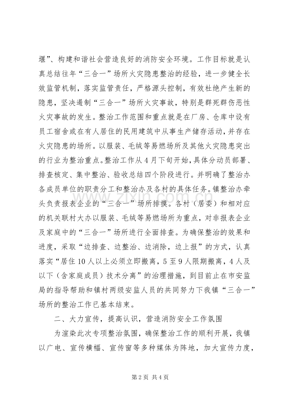 三合一场所专项整治工作总结 .docx_第2页