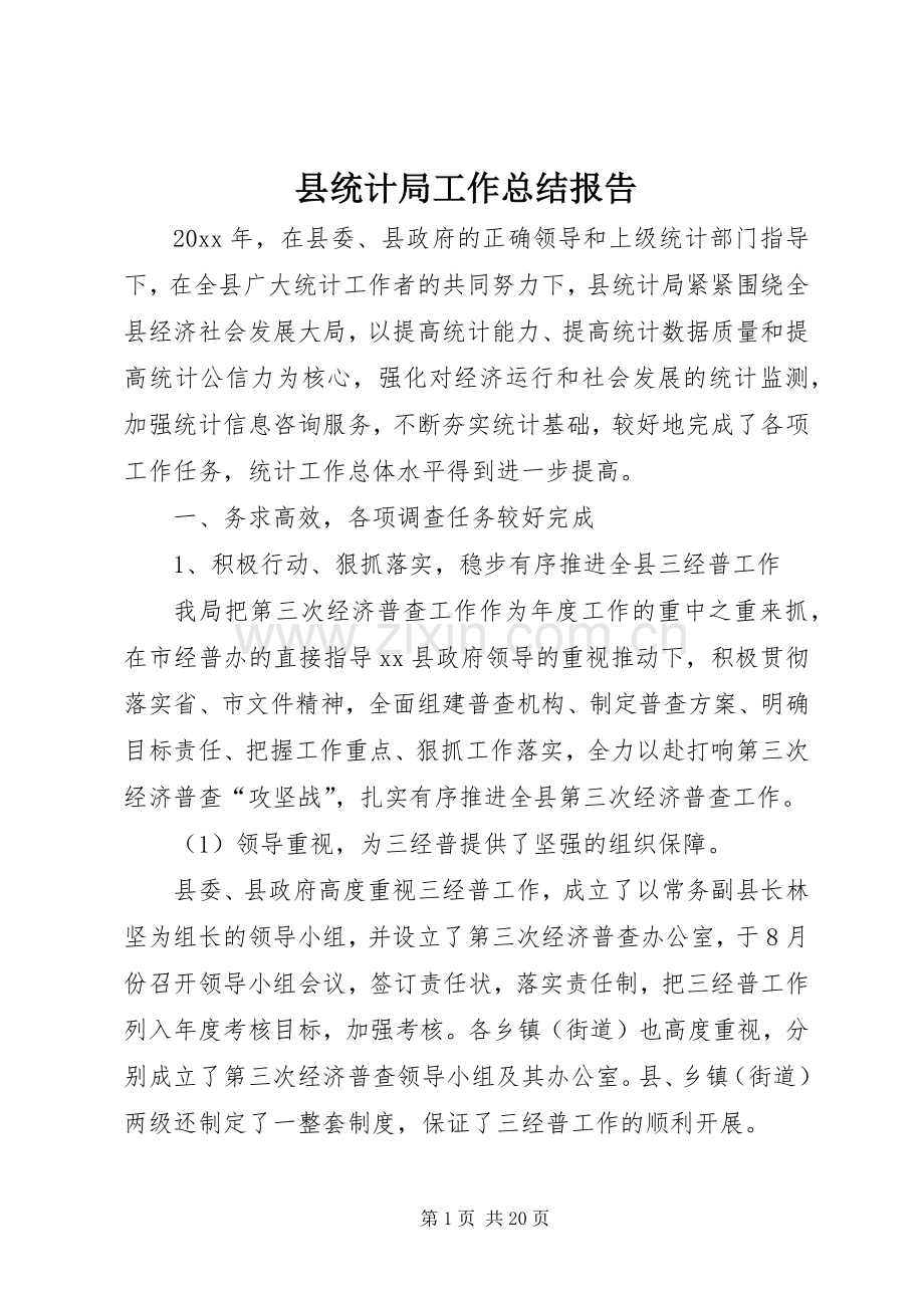 县统计局工作总结报告 .docx_第1页