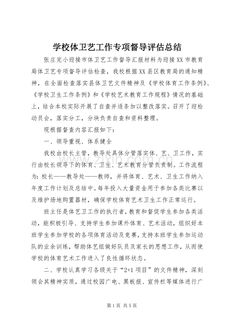 学校体卫艺工作专项督导评估总结 .docx_第1页