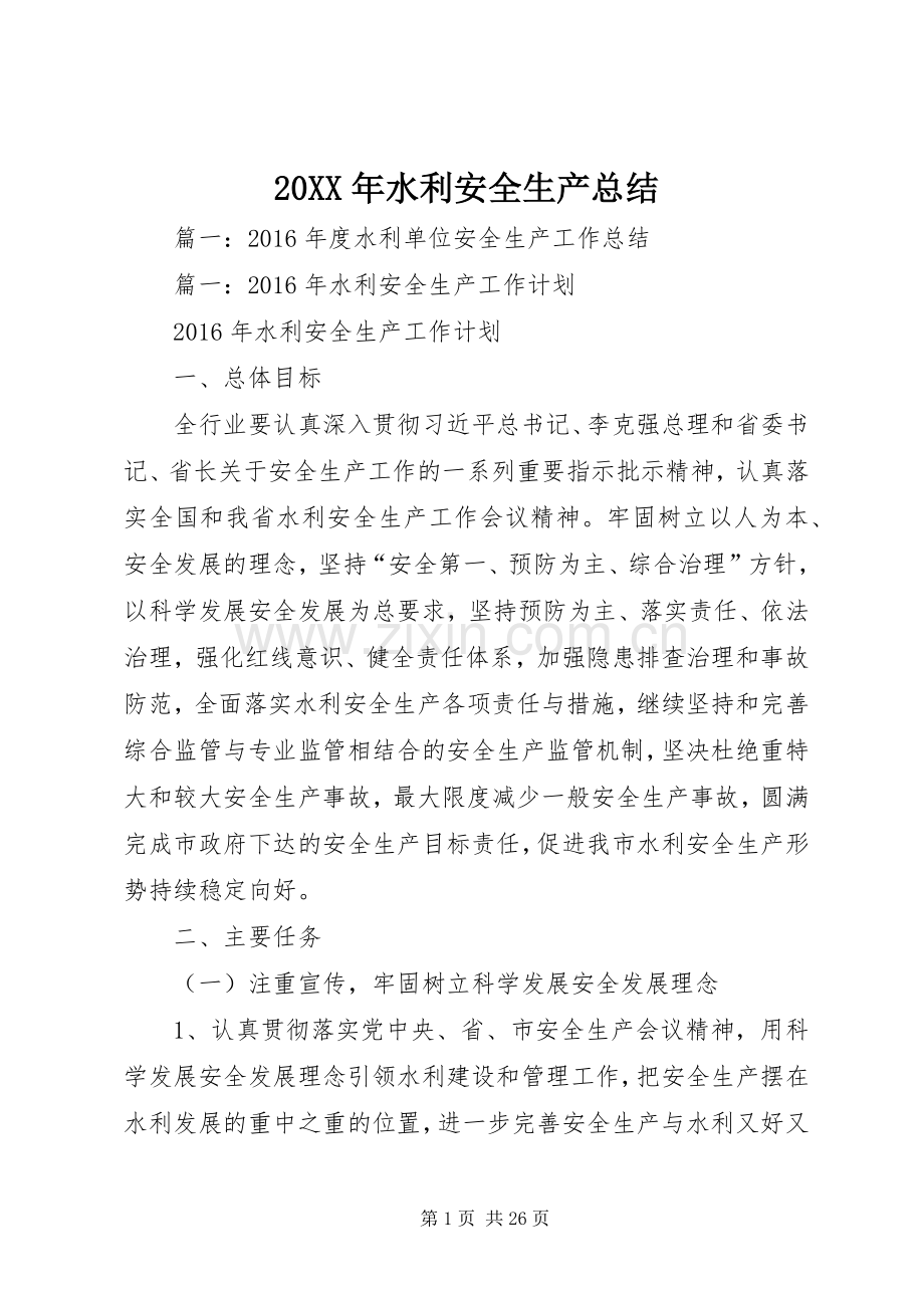 20XX年水利安全生产总结.docx_第1页