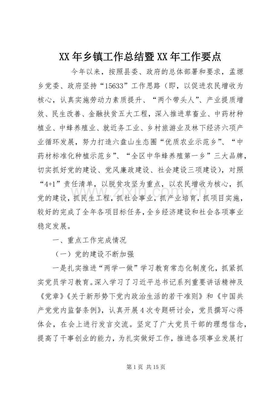 XX年乡镇工作总结暨XX年工作要点 .docx_第1页