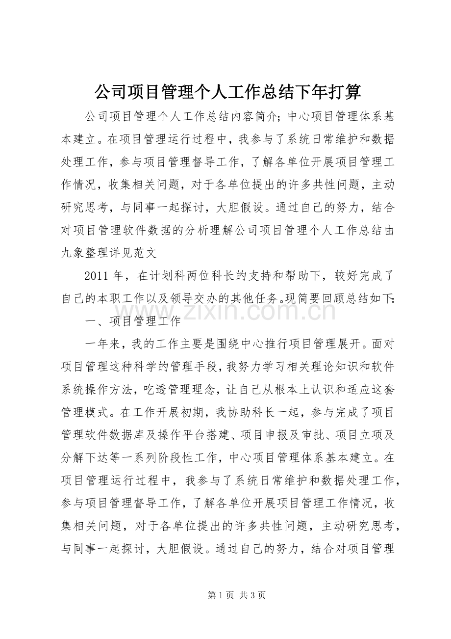 公司项目管理个人工作总结下年打算 .docx_第1页