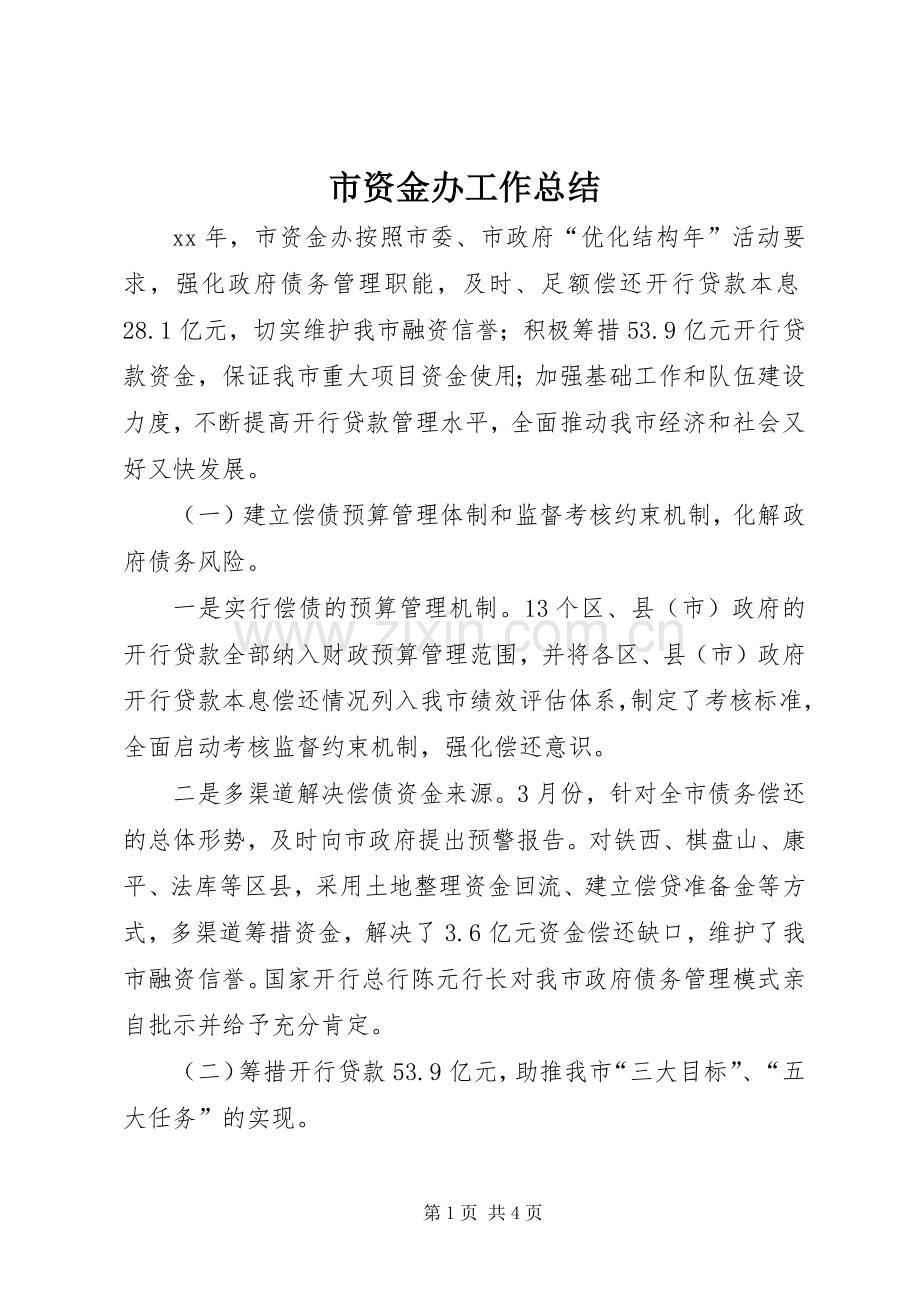 市资金办工作总结 .docx_第1页