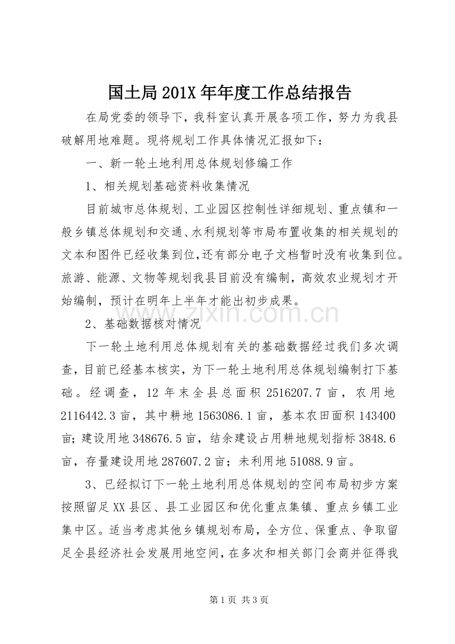国土局202X年年度工作总结报告.docx_第1页