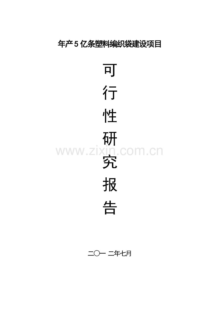年产5亿条塑料编织袋项目可行性研究报告.docx_第1页