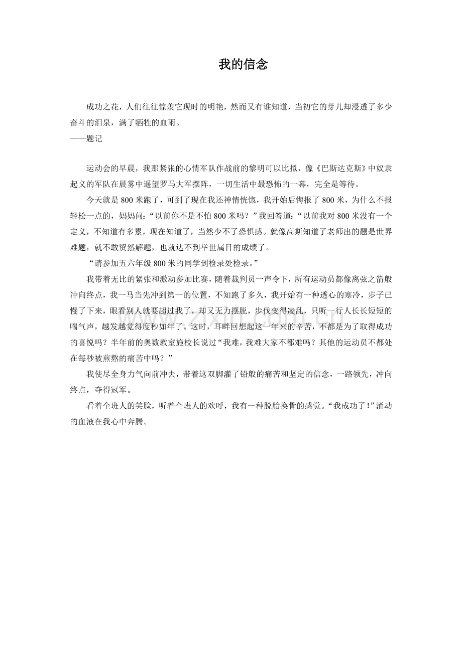 《地震中的父与子》拓展-我的信念.doc_第1页