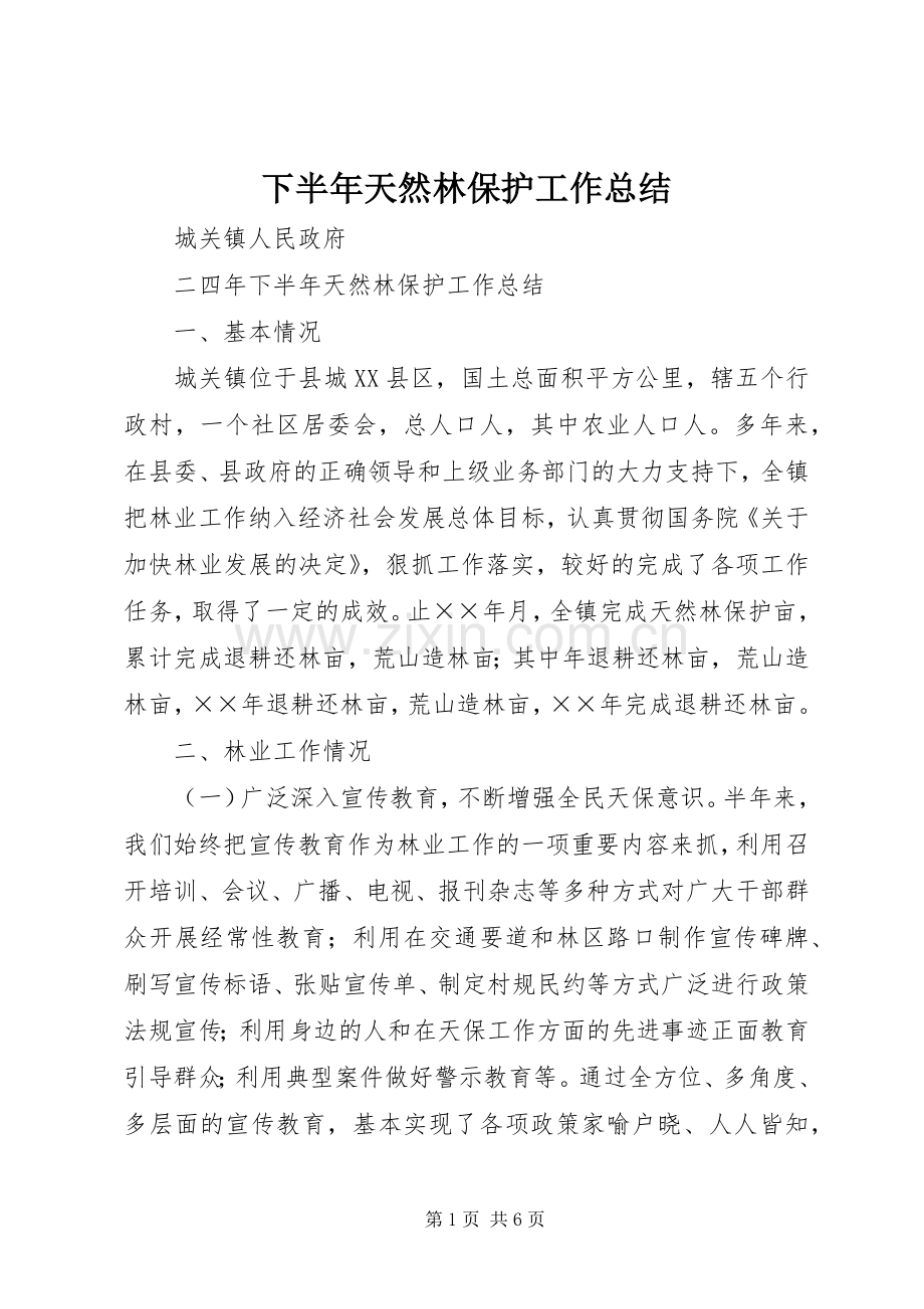 下半年天然林保护工作总结 .docx_第1页