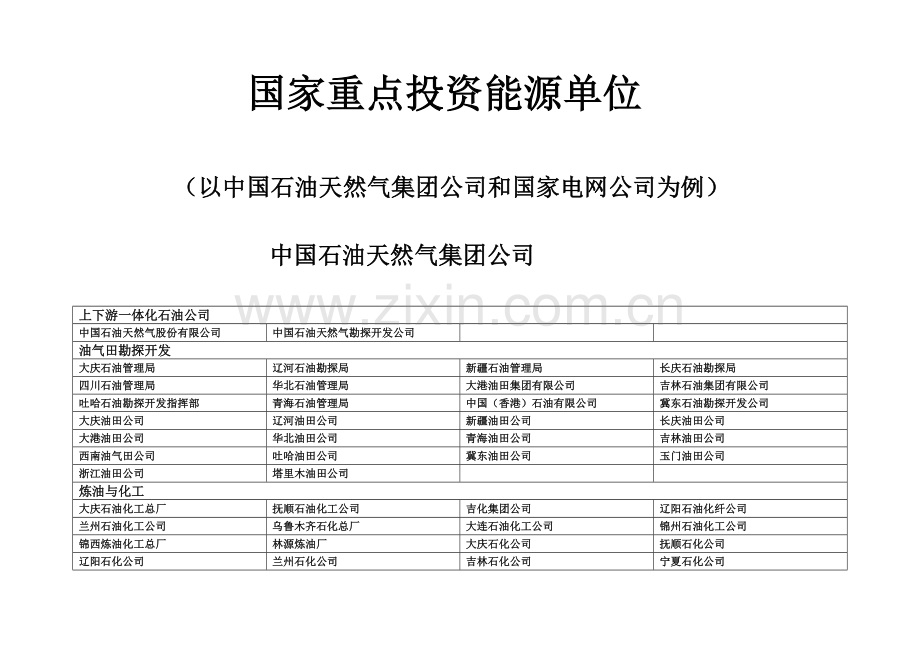 国家重点投资能源单位.docx_第1页
