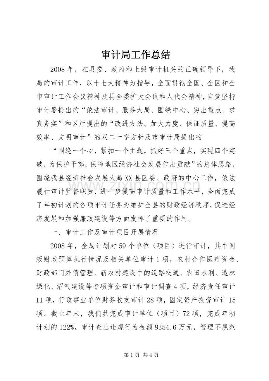 审计局工作总结 (21).docx_第1页