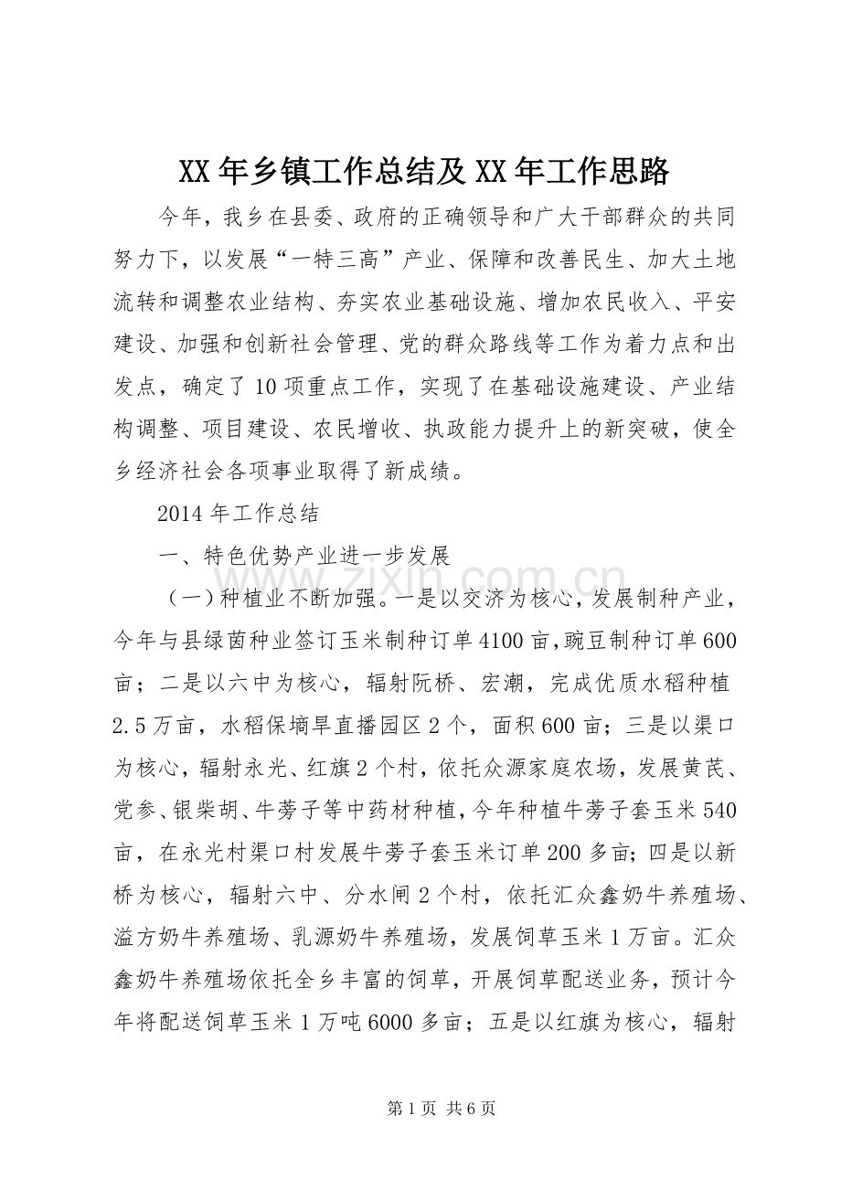 XX年乡镇工作总结及XX年工作思路 .docx_第1页
