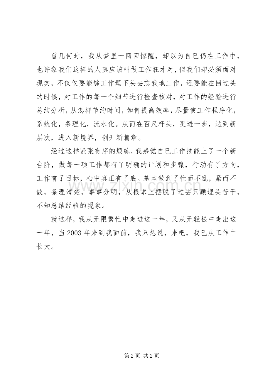 个人工作总结(例文2) .docx_第2页