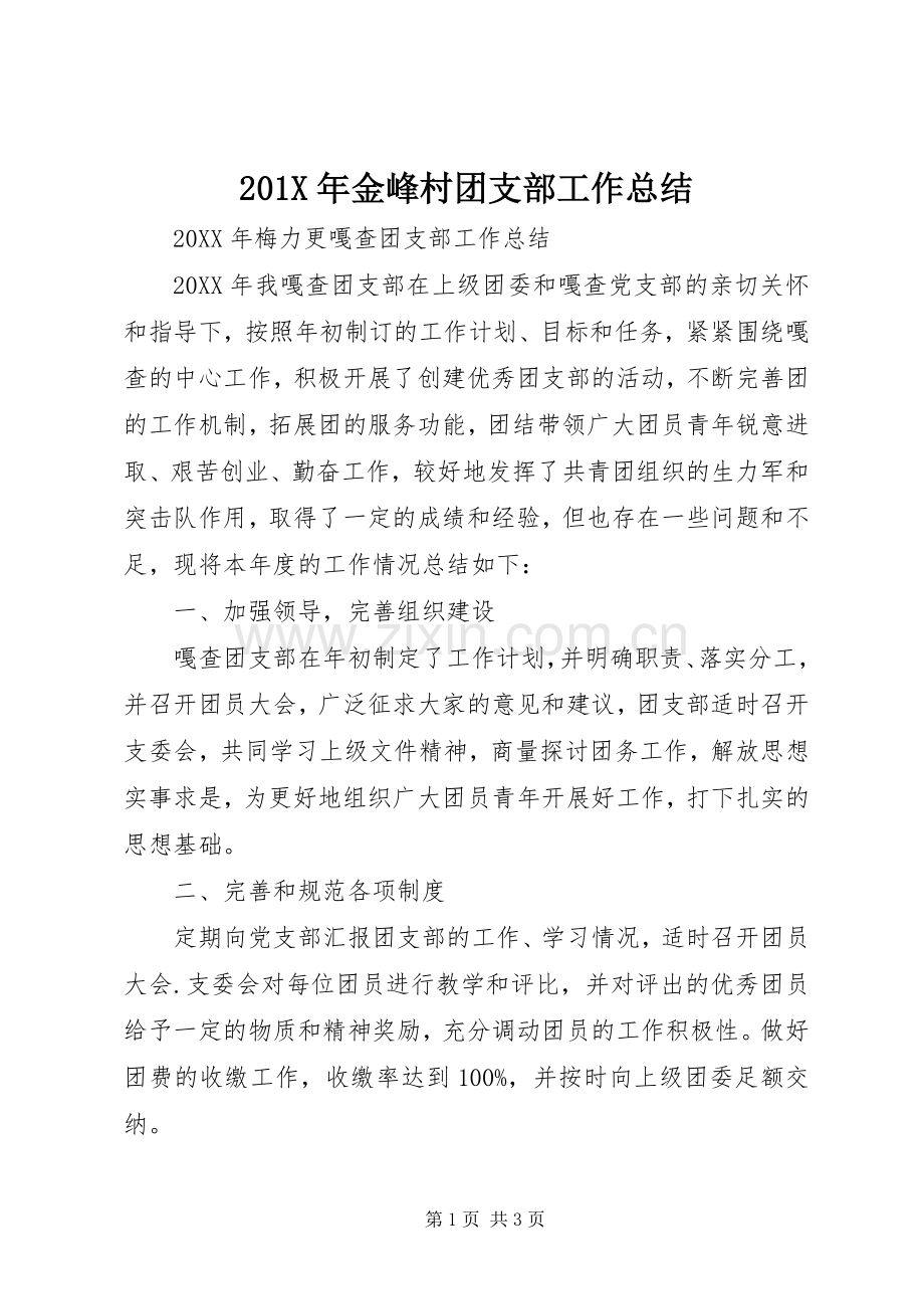 202X年金峰村团支部工作总结.docx_第1页