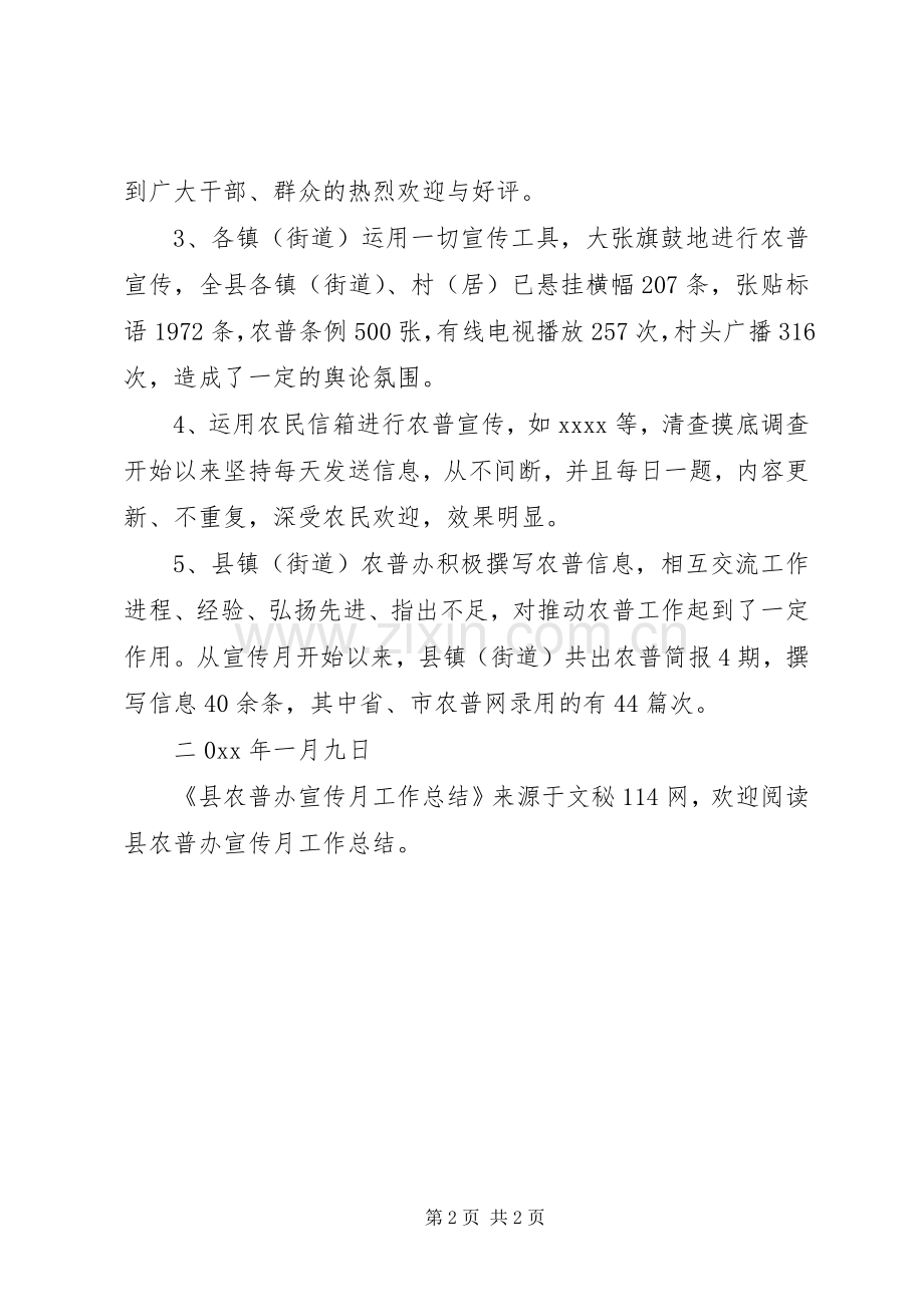 县农普办宣传月工作总结 .docx_第2页