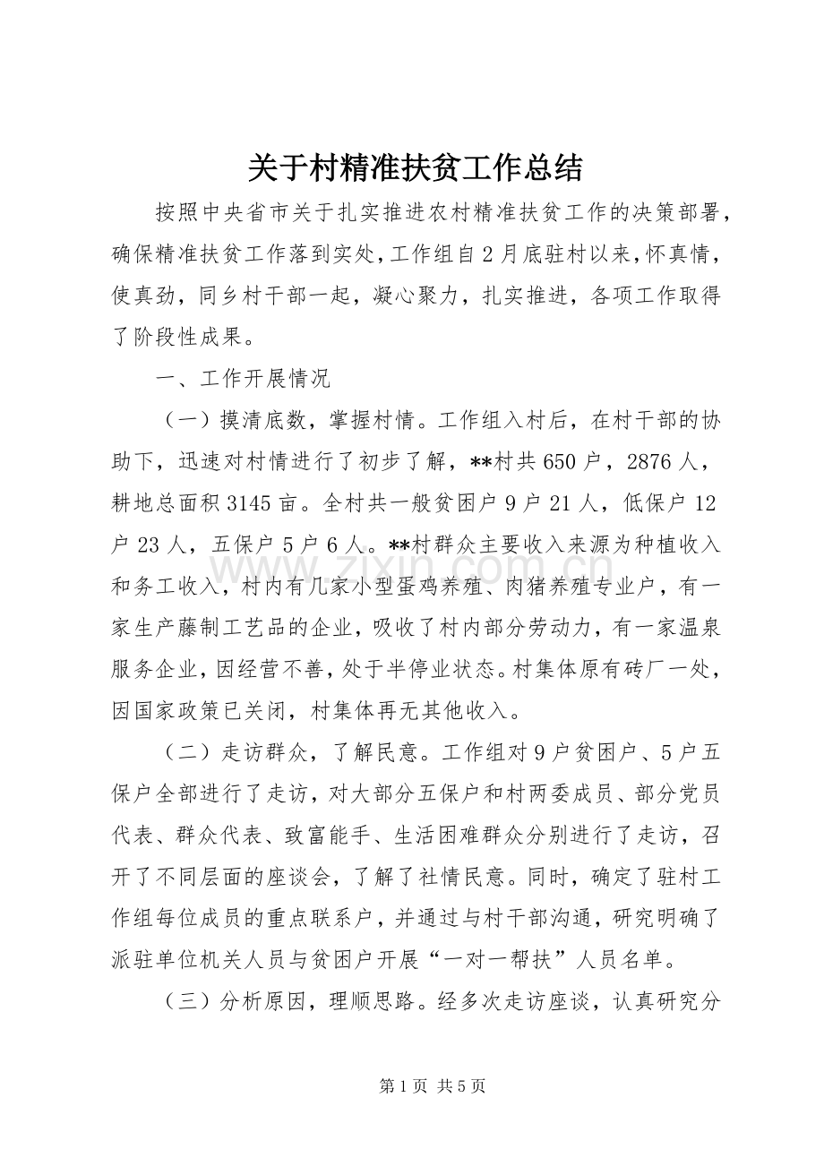 关于村精准扶贫工作总结 .docx_第1页