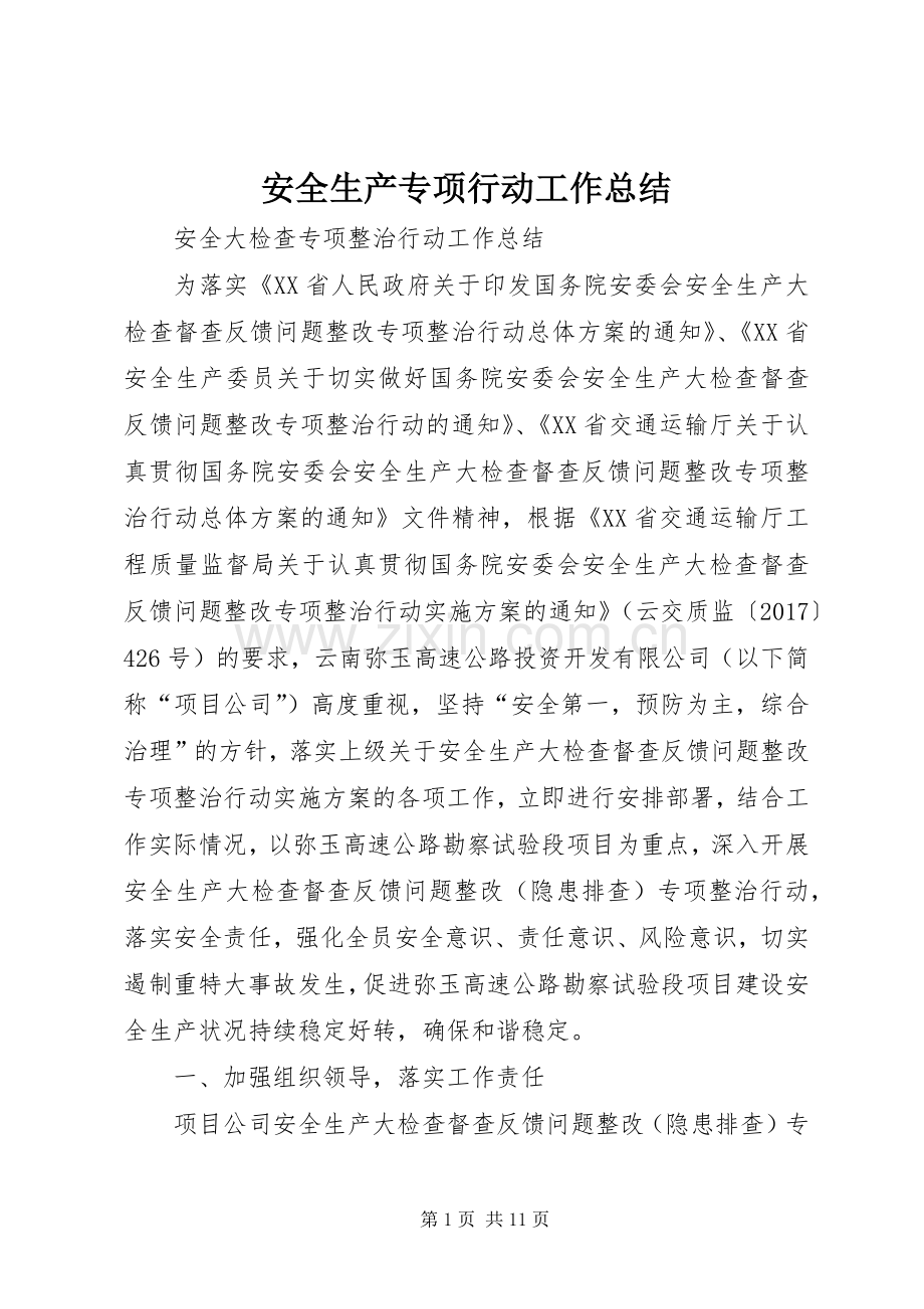 安全生产专项行动工作总结 .docx_第1页
