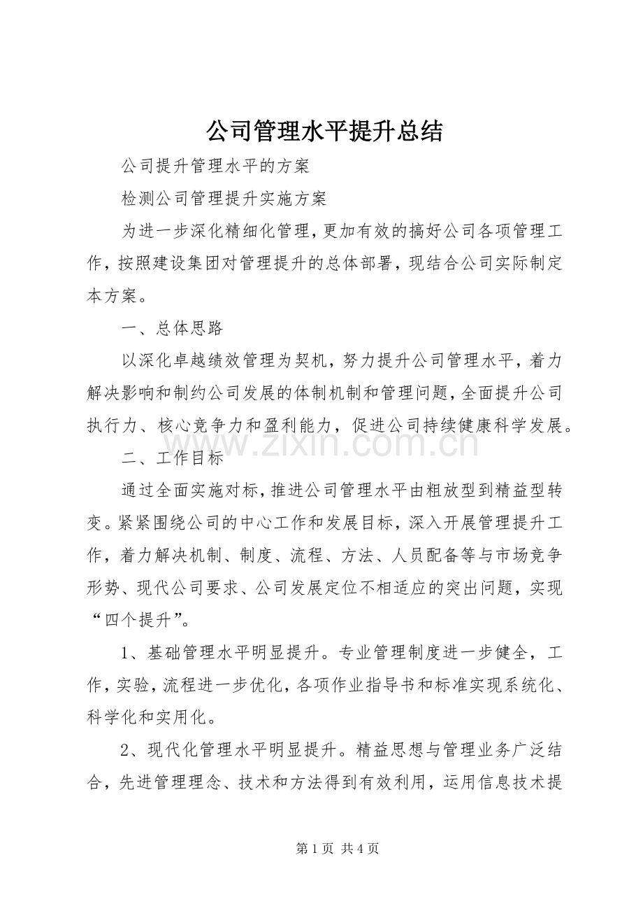公司管理水平提升总结 .docx_第1页