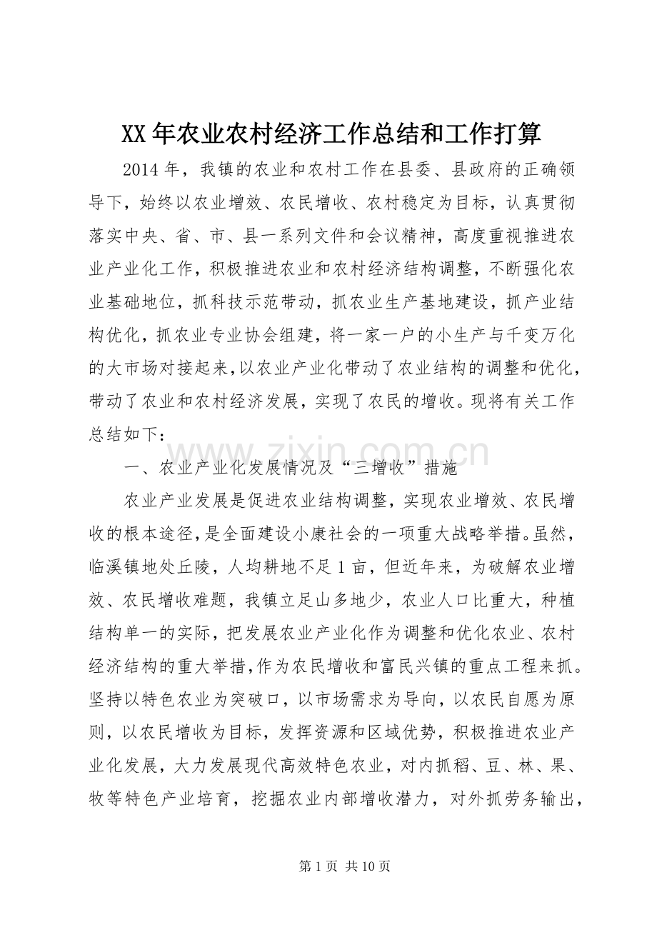 XX年农业农村经济工作总结和工作打算 .docx_第1页
