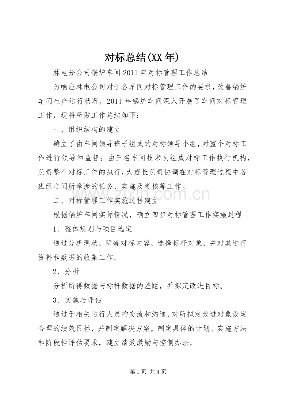 对标总结(XX年) .docx_第1页