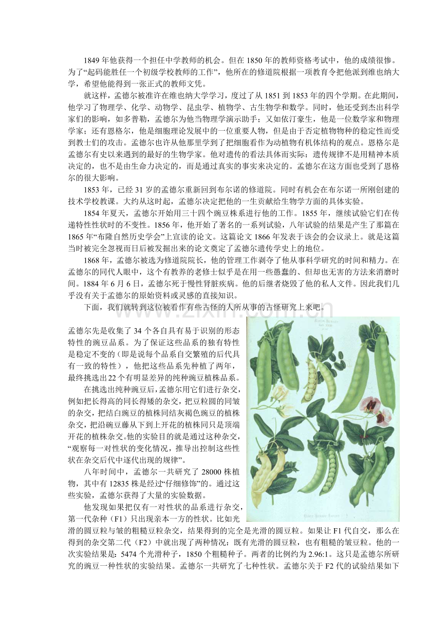 基因的显性与隐性(生物教案).docx_第2页