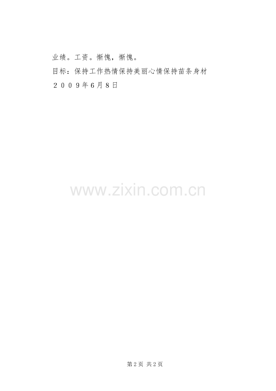我的半年工作总结 .docx_第2页