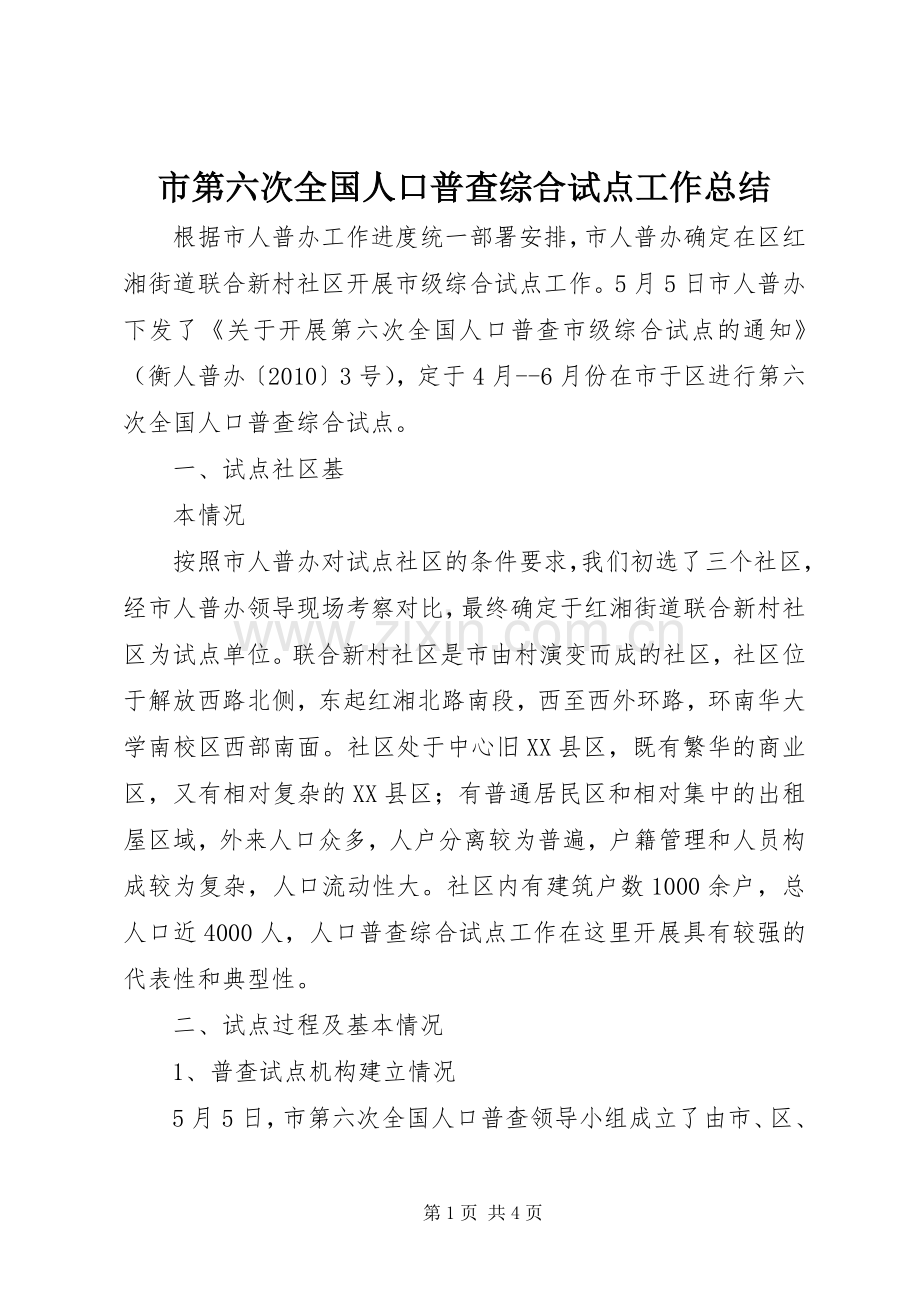市第六次全国人口普查综合试点工作总结 .docx_第1页