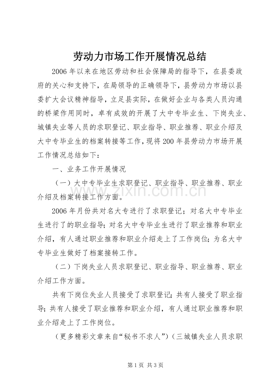 劳动力市场工作开展情况总结 .docx_第1页