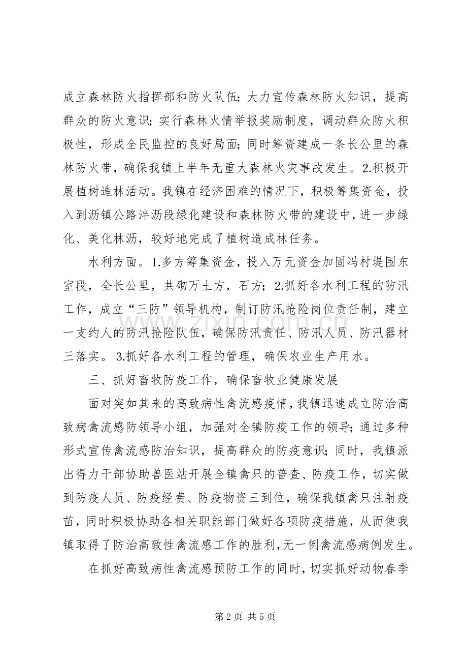 年镇农业和农村上半年工作总结 .docx_第2页