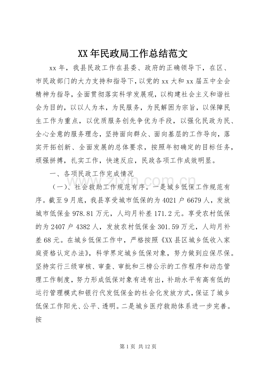 XX年民政局工作总结范文 .docx_第1页