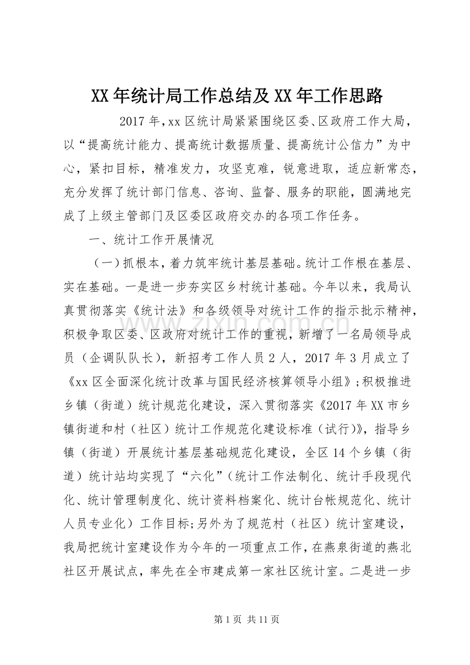 XX年统计局工作总结及XX年工作思路 .docx_第1页
