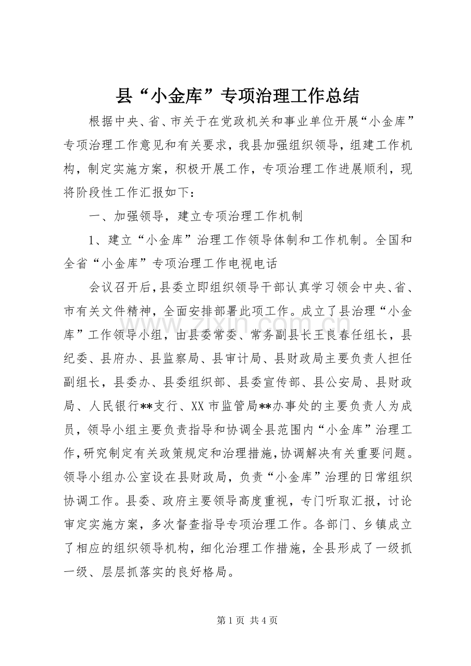 县“小金库”专项治理工作总结 .docx_第1页