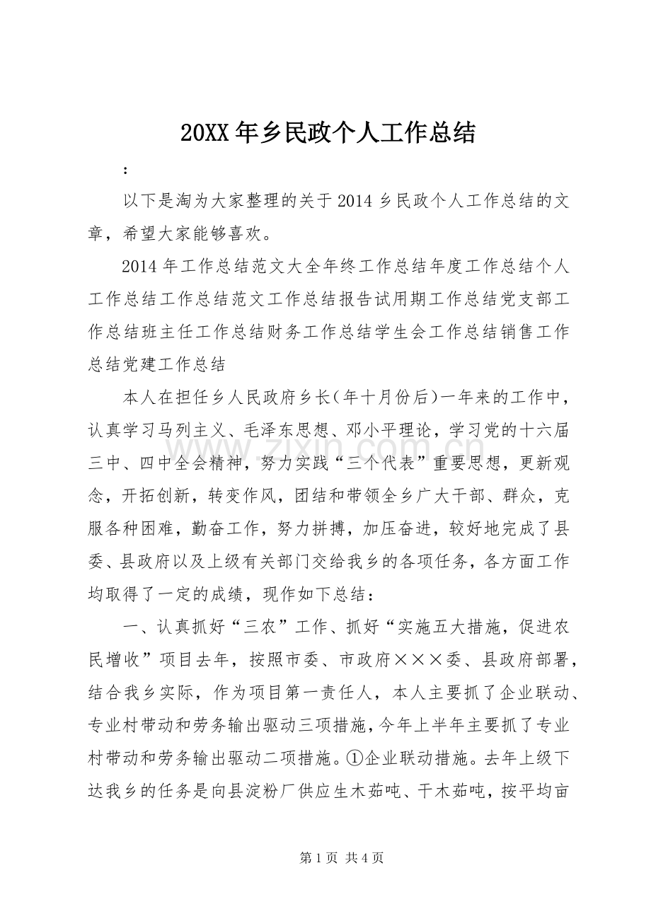20XX年乡民政个人工作总结.docx_第1页