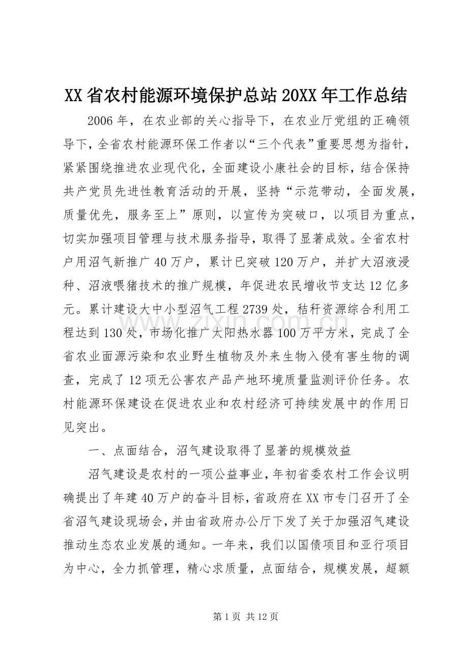 XX省农村能源环境保护总站20XX年工作总结.docx_第1页