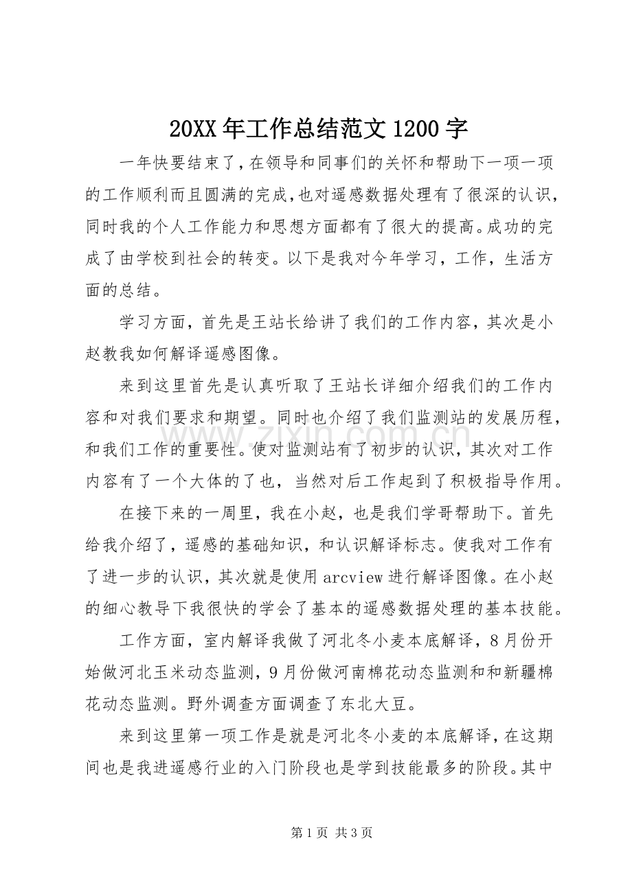 20XX年工作总结范文1200字.docx_第1页