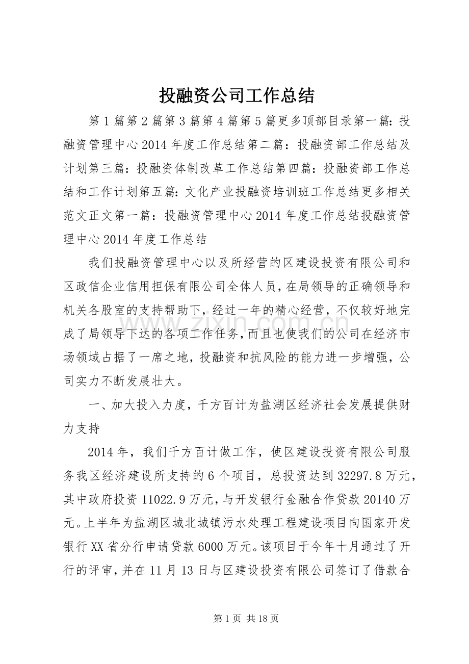 投融资公司工作总结 .docx_第1页