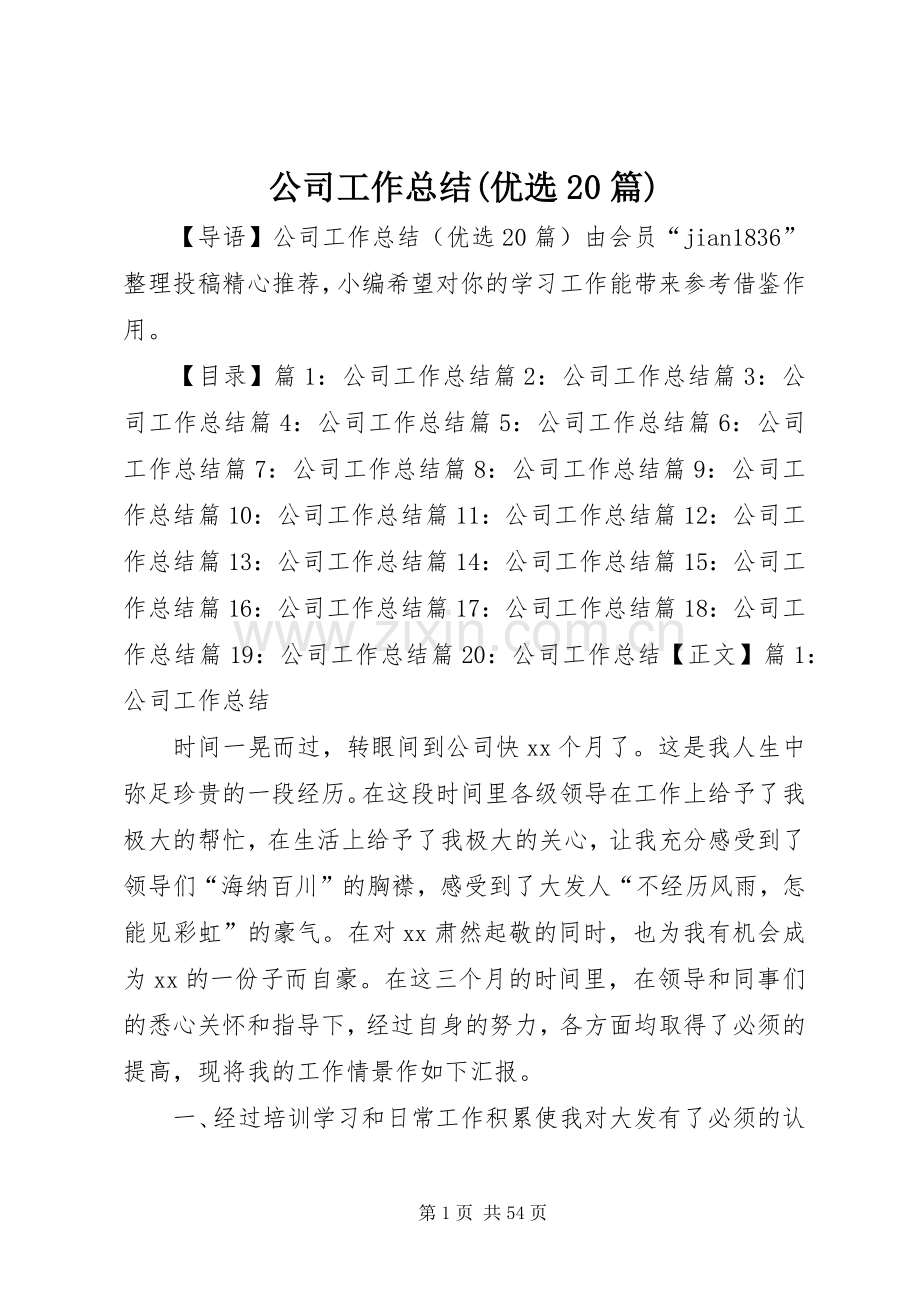公司工作总结(优选20篇).docx_第1页