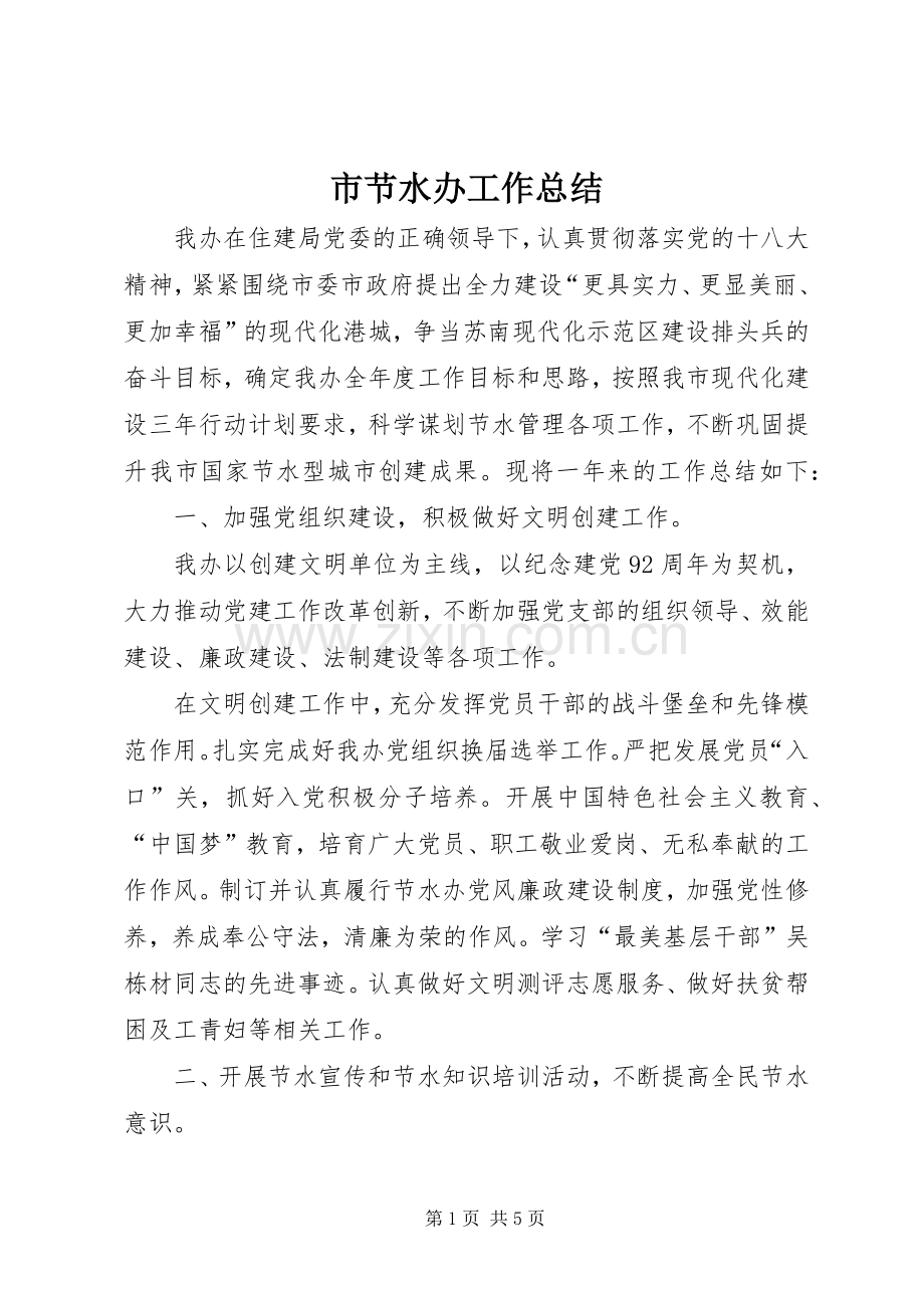 市节水办工作总结 .docx_第1页