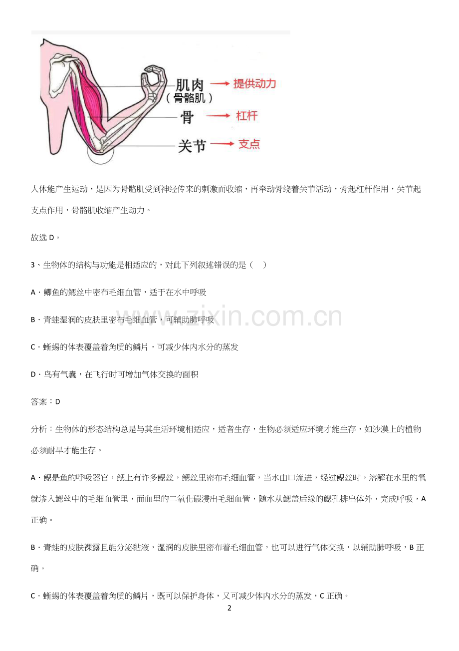 通用版初中生物八年级上册第五单元生物圈中的其他生物考点专题训练-(2).docx_第2页